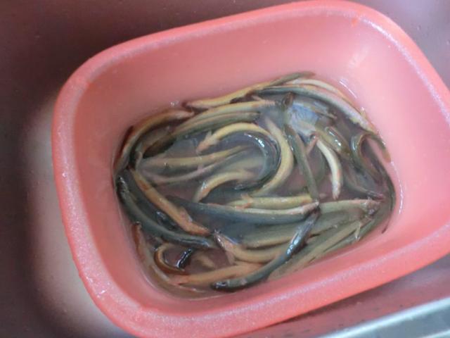 泥鳅的做法视频
:泥鳅怎么做才好吃？  第27张