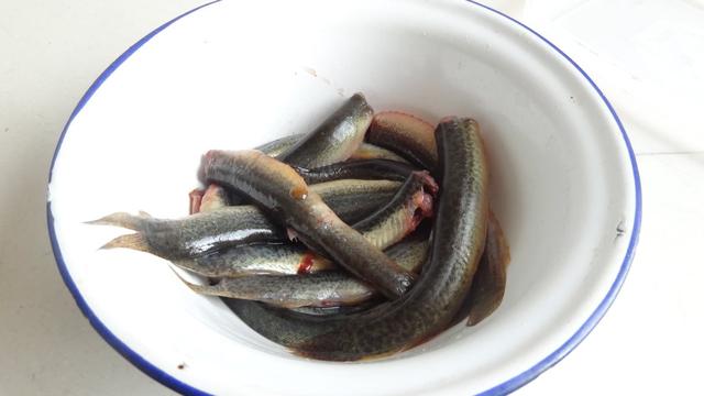 泥鳅的做法视频
:泥鳅怎么做才好吃？  第33张