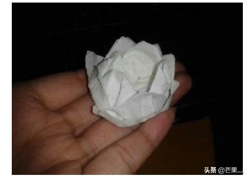莲花做法视频教程
:莲花折纸教程？  第13张