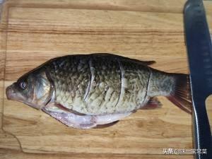 红烧鲫鱼做法视频教程
:红烧鲫鱼怎么做？  第2张