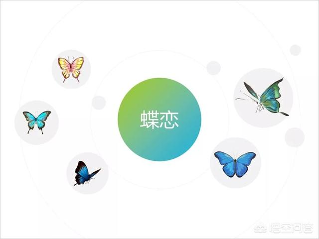 ppt怎么做的视频教程
:如何打造一个电影级的演示PPT？  第15张