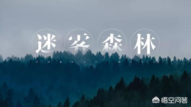 ppt怎么做的视频教程
:如何打造一个电影级的演示PPT？  第24张