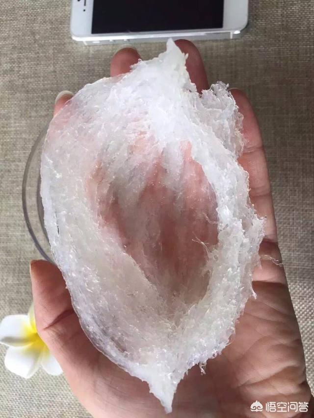 燕窝做法视频
:鲜炖燕窝的做法是怎样的？  第3张