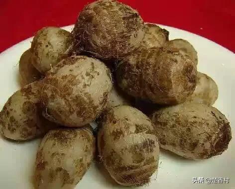 地瓜面包子全部的做法视频
:红薯面怎么吃才好吃？  第2张