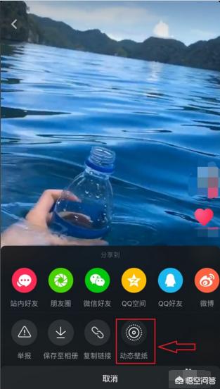 视频怎么做成动态壁纸
:抖音怎么把视频做成动态壁纸？  第3张