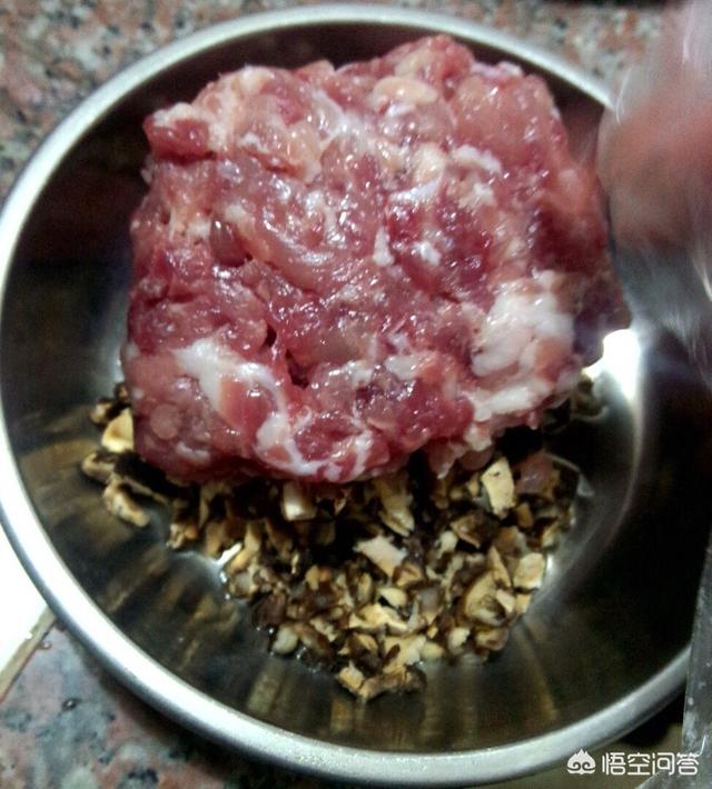 葱肉饼的做法视频
:广东肉饼的做法是什么？  第1张