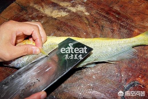 干烧黄鱼的正宗做法视频
:正宗的宁波大黄鱼到底应该怎么做？  第2张