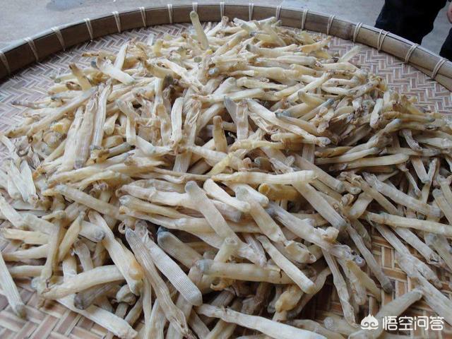 炒沙虫干的做法视频
:沙虫要怎么烹饪？  第2张