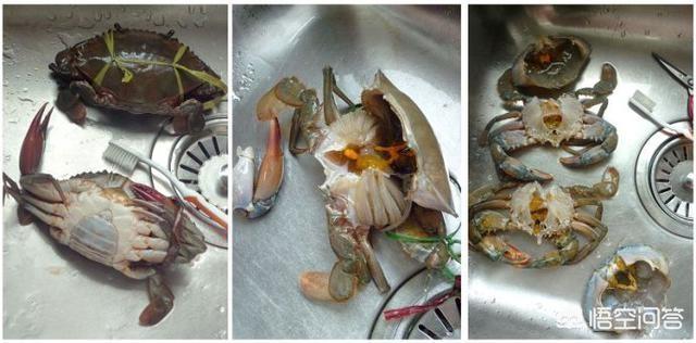 葱油面包蟹的做法视频
:冻大螃蟹怎么做才好吃？  第2张