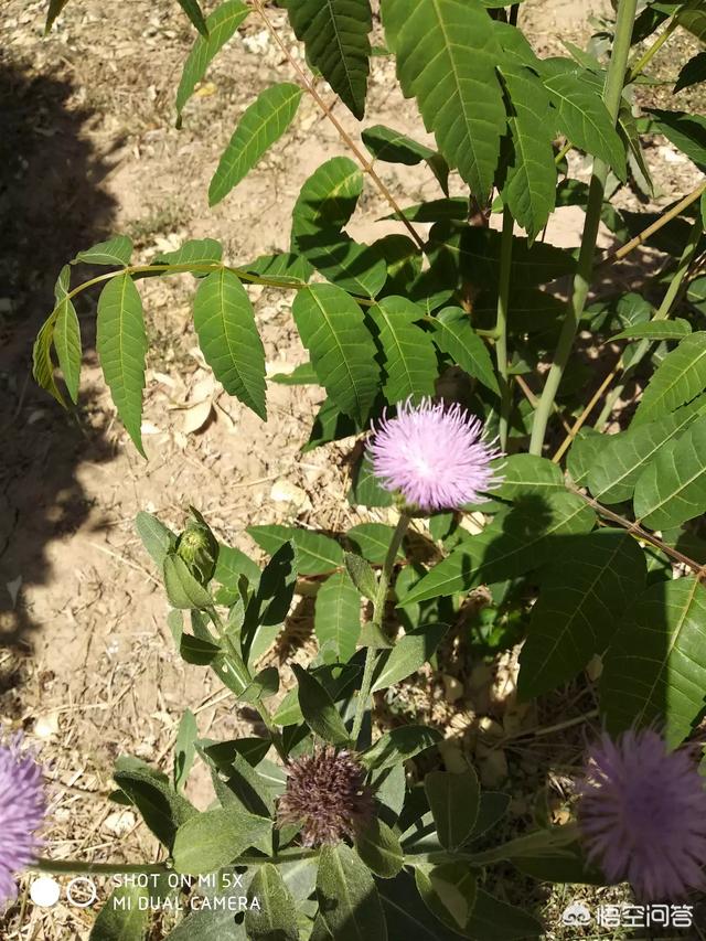 六一儿童节宣传视频
:说说你小时候的六一儿童节都是怎么过的？  第4张