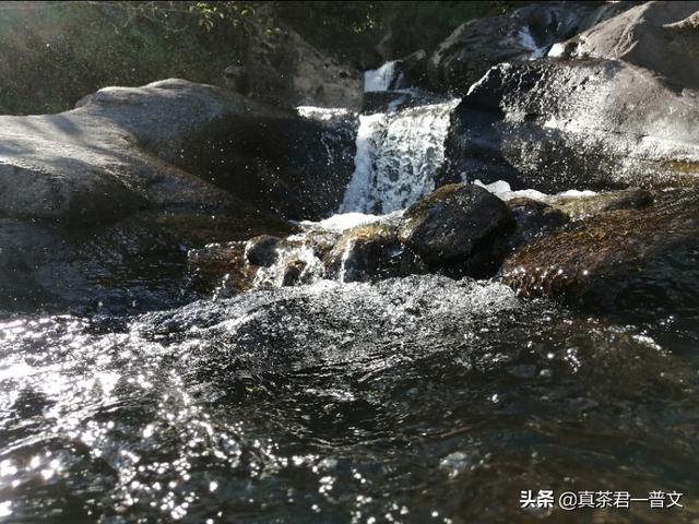 茶叶宣传视频
:我是做茶叶的，自己的品牌，想找网络主播来宣传销售我们的茶叶，要怎么做？  第2张