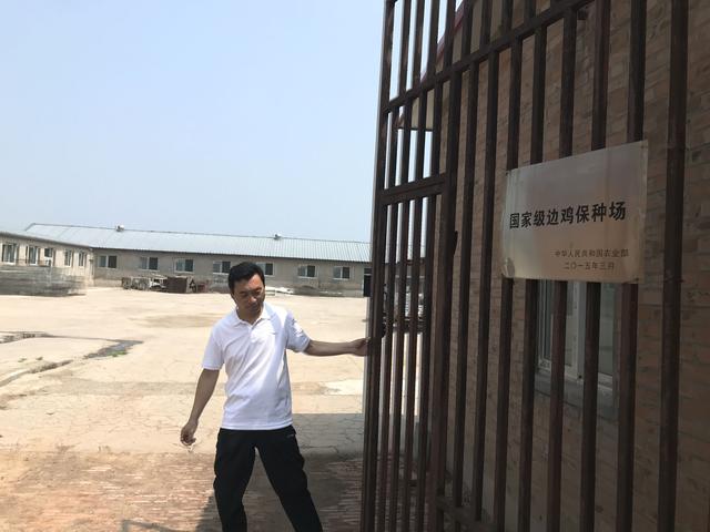 宣传视频委托制作合同
:边鸡保种：留给未来的种子  第6张