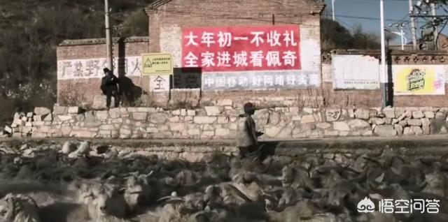 动画宣传视频
:如何评价中国移动与《小猪佩奇过大年》合作的宣传短片《啥是佩奇》？  第2张