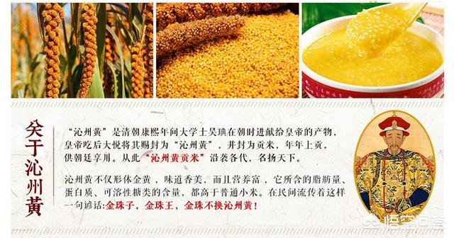 小米宣传视频
:如何做好农产品小米的品牌和宣传？  第5张