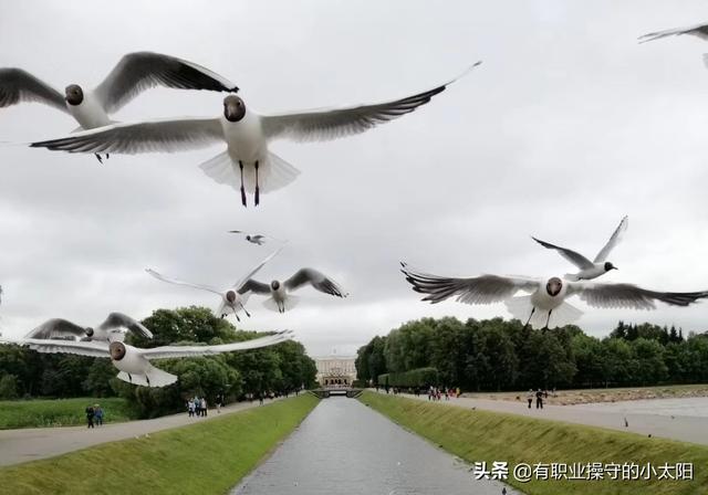 信息流广告视频拍摄
:教育领域可以拍什么视频？  第1张