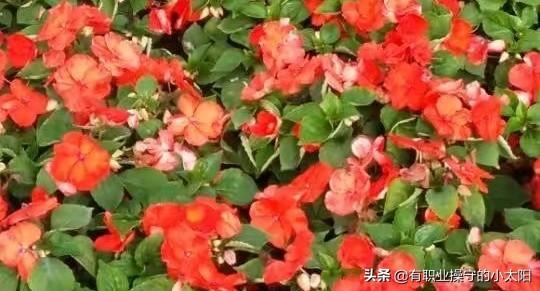 信息流广告视频拍摄
:教育领域可以拍什么视频？  第3张