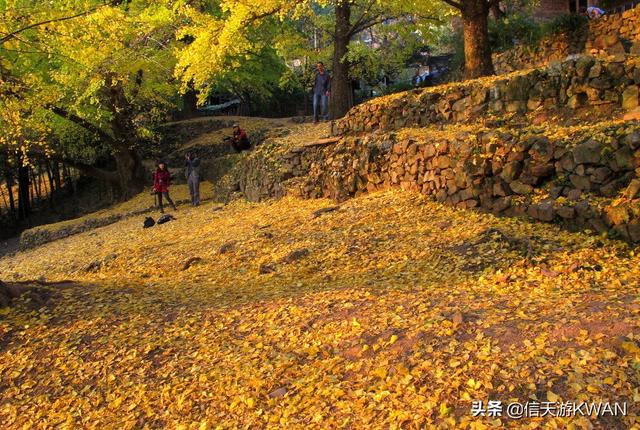 景观宣传视频
:怎样才能更好地宣传我们广西的秀美山水风光？  第9张