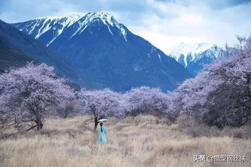 端午节宣传视频
:李子柒在韩国的端午节视频被下架，韩认为是韩国的节日你怎么看？  第4张