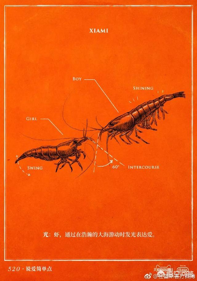 产品创意广告视频
:你见过最有创意的广告文案是怎么样的？  第2张