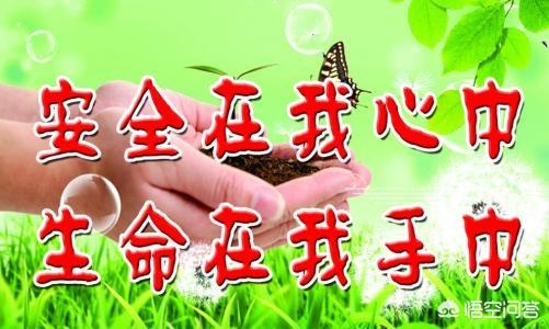 5.12防灾减灾日宣传视频
:渭南：华阴市防灾减灾宣传周，发放地震自救手册, 你怎么看？  第5张