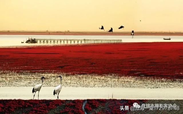 路长全营销视频全集
:有没有人给我推荐一些好书？  第2张