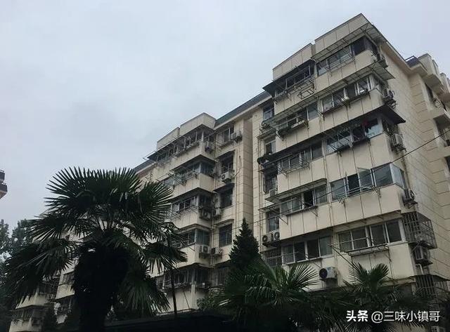 民法典公益宣传视频
:为什么有些人不愿意买墓地，而是花几十万买小区放骨灰盒？  第5张