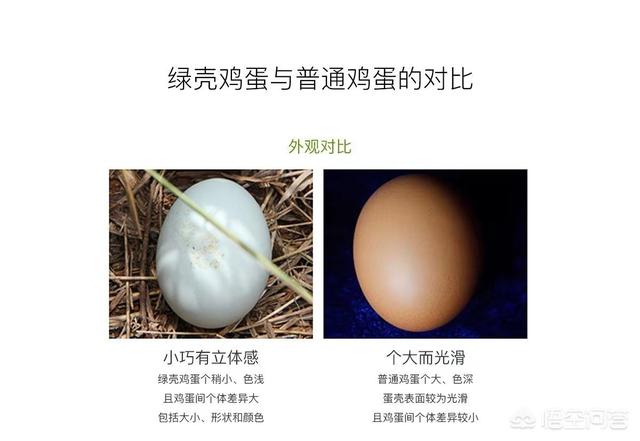 北大荒宣传视频
:优质农产品，如何进行市场推广，让更多的城市消费者知晓？  第1张