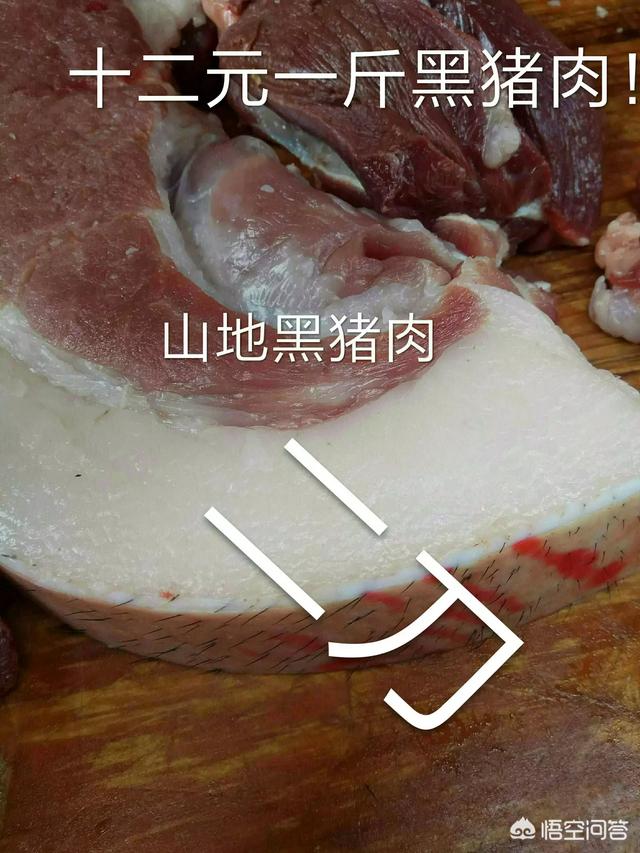 黑猪肉宣传视频
:我有大量的黑猪肉，怎么才能快速销售出去呢？  第2张