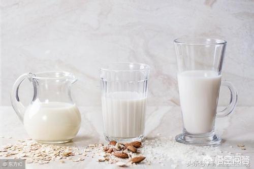 牛奶宣传视频:为什么现在国人开始迷恋牛奶？  第4张