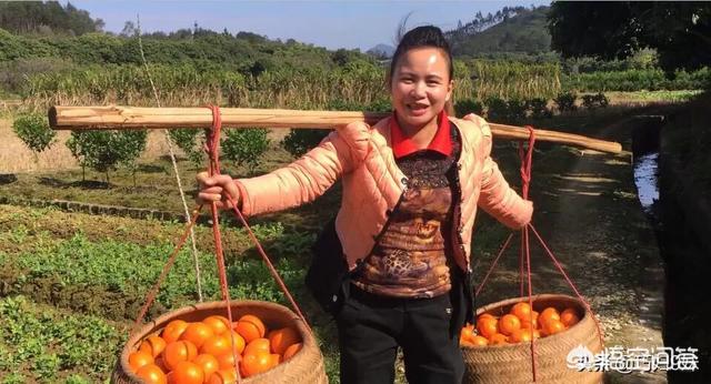 国偷自产短视频9
:巧妇9妹是三农红人，农产品难以标准化，她卖出的产品真的那么好吗？  第2张