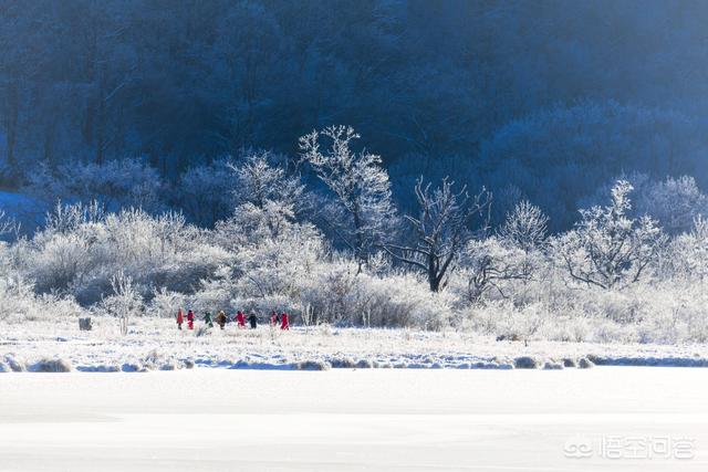 冰雪短视频
:如何拍摄出“冰雪大世界”般的效果？  第4张