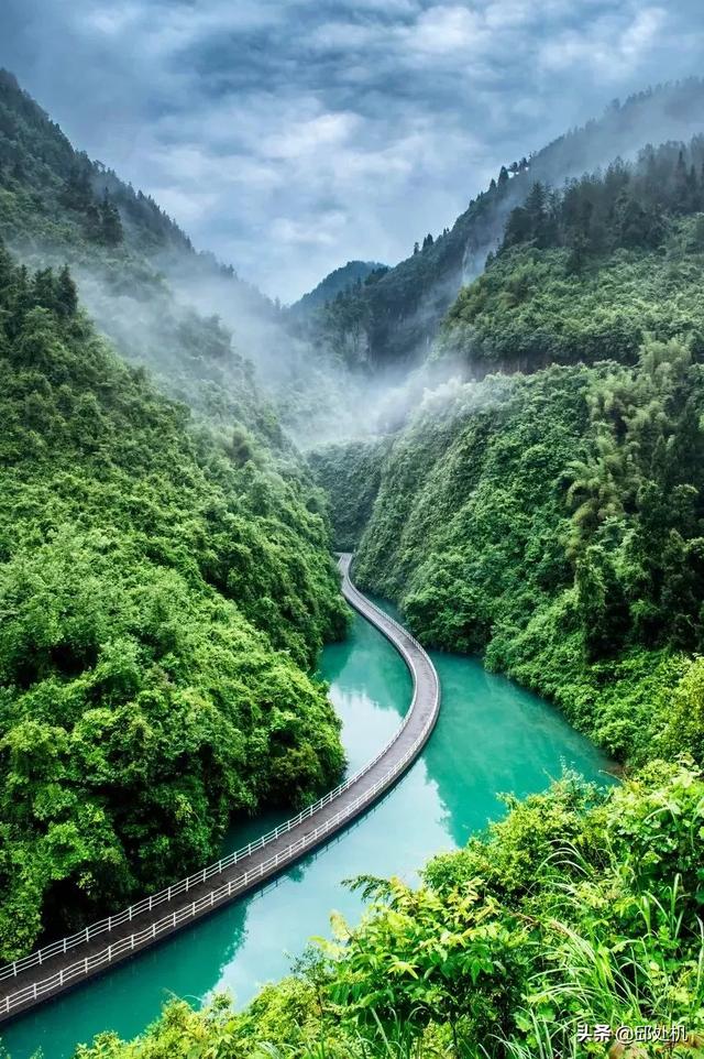 旅途的短视频
:现在自驾去西藏的人很多，开面包车穷游靠短视频可以年入百万吗？  第1张