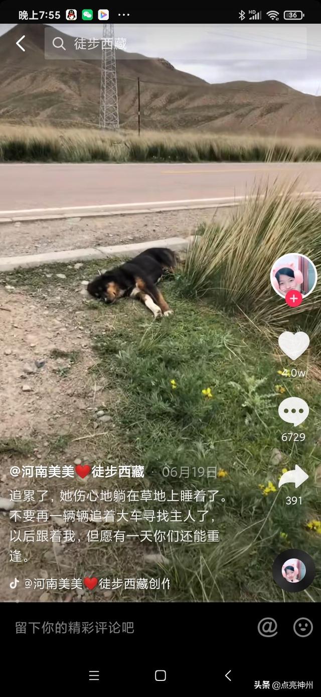 九七短视频
:河南徒步西藏美丽女孩美美到底出了什么意外而离开了我们呢？  第3张