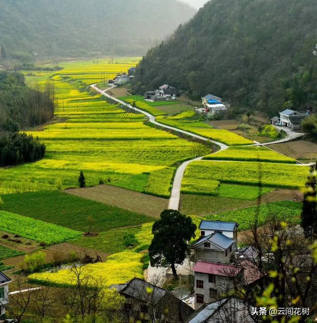 风景的短视频
:想知道那些做短视频的风景是去哪找的？  第1张