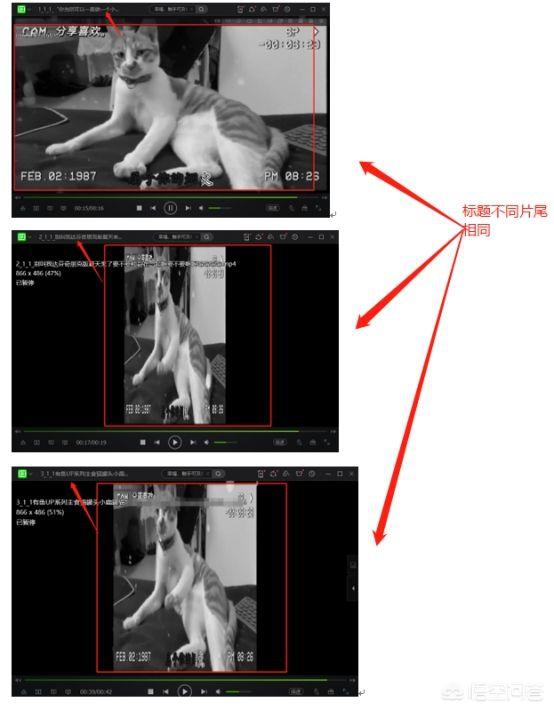 短视频结尾
:短视频中片尾是怎么单独添加的，有什么方法可以快速操作？  第1张