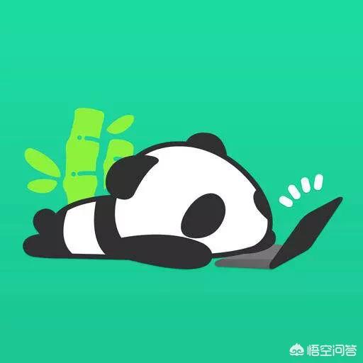 绿巨人里面的熊猫短视频
:熊猫视频正式关站，是什么导致的？  第3张