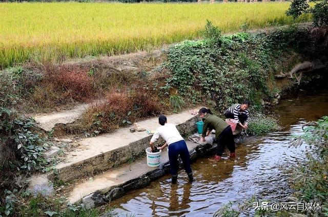 短视频拍什么最吸引人
:想做三农自媒体没有经验没有素材，请问在农村发布什么视频最受欢迎？  第3张