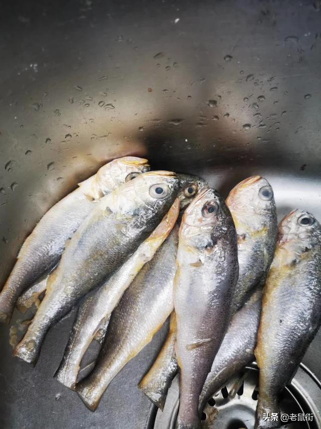 免费观看短视频
:怎么才能看小视频？  第3张
