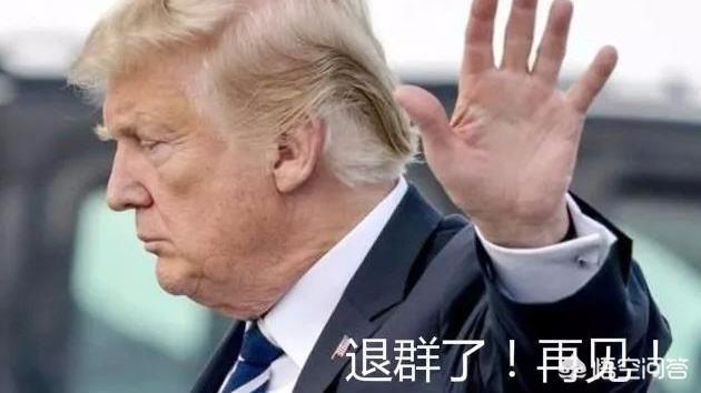 巴黎短视频
:为什么特朗普铁了心要退出巴黎协定，并拼命搞低油价，推行化石能源？  第6张