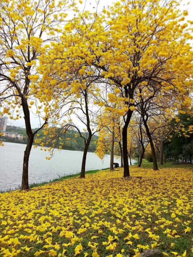 15秒唯美风景短视频无水印
:在不同的季节，唯美画意风光拍摄技巧有哪些呢？  第1张