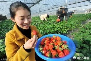 景色短视频
:我家在偏远农村，有大量的三农题材，我想做三农短视频。但有网友说三农已过时，真的吗？  第2张