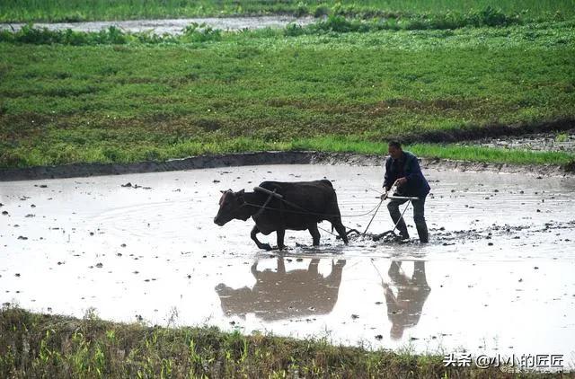 se01短视频最新
:今年普通人该怎么生活？  第7张