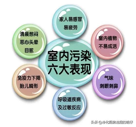 绿色环保短视频
:环保时代，如何打造“绿色环保家”？  第2张