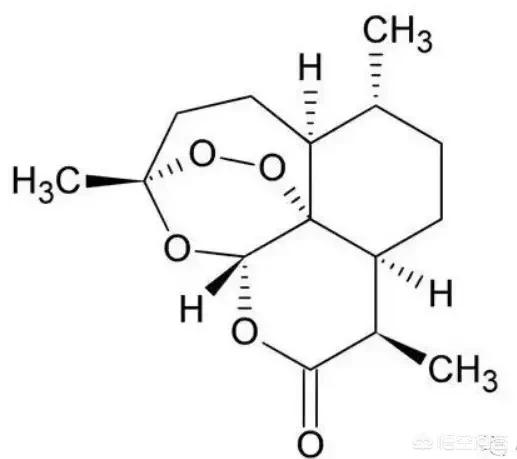 黄版短视频
:有的人说在头条里看到有些作家或教授都是发一些小段子，且阅读量很高，他们就没有原创作品吗？你怎么看？  第2张