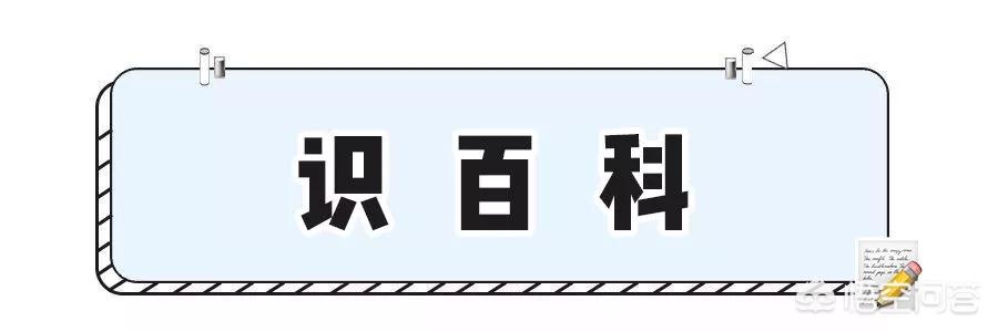 儿童益智短视频
:适合早教的儿童益智玩具有哪些？  第25张