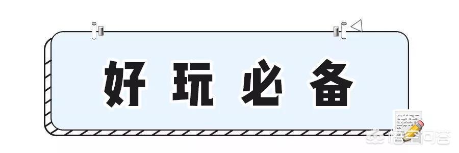 儿童益智短视频
:适合早教的儿童益智玩具有哪些？  第45张