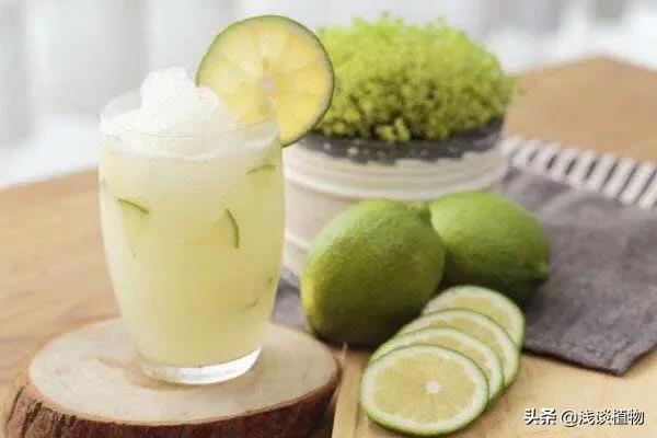 柠檬短视频
:柠檬都有什么用？  第3张