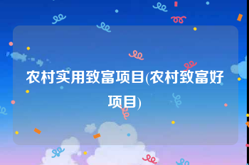 农村实用致富项目(农村致富好项目)