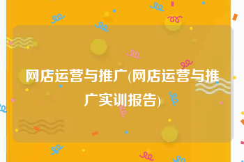 网店运营与推广(网店运营与推广实训报告)