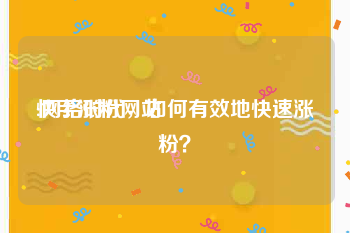 快手涨粉网站:网络时代，如何有效地快速涨粉？